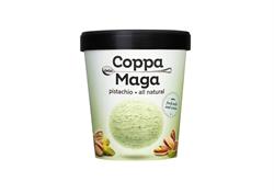 Pistachio Ice Cream 500ml (order in singles or 4 for trade outer)