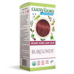 75% OFF Organic Herbal Hair Colour - Burgundy 100g (order in singles or 20 for trade outer)