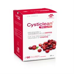 Cysticlean 240mg PAC 60 カプセル (1 個単位で注文するか、トレードアウターの場合は 12 個で注文)