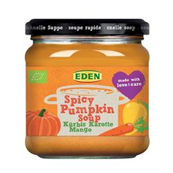 Soup Quickie - Organic Spicy Pumpkin Soup 375g