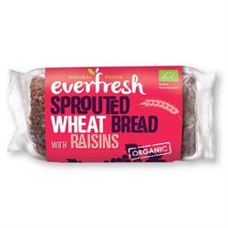 Pan de trigo germinado orgánico con pasas 400 g (pedir por separado o en 8 para el comercio exterior)