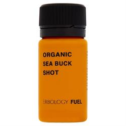 Organic Sea Buckthorn Shot 40ml (order in multiples of 5 or 30 for retail outer)