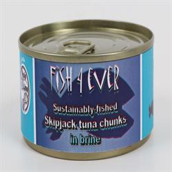 Skipjack Tuna Chunks in Brine 160g (order in singles or 15 for trade outer)