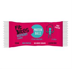 FitBites PROTEIN Raspberries + Almond 48g (order in singles or 16 for retail outer)