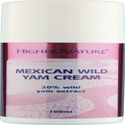 Mexicaanse yamcrème 100 ml