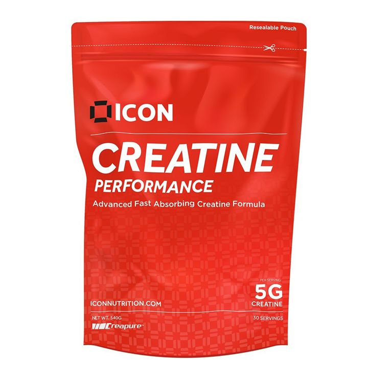 Icon nutrition créatine performance 540g / punch aux fruits