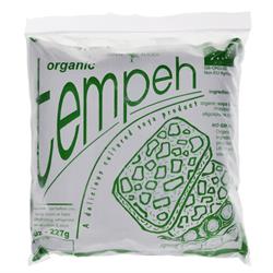 Organic Frozen Plain Tempeh 227g (order in singles or 10 for trade outer)
