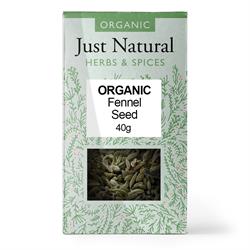 Fennel Seed (Box) 40g
