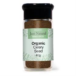 Celery Seed (Glass Jar) 40g