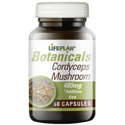 30 % de réduction sur les capsules Cordyseps Mushroom 60