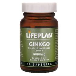 Ginkgo Biloba 30 capsules