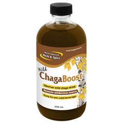 ChagaBoost 236 ml (commander en simple ou 12 pour le commerce extérieur)