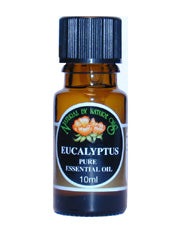 Eucalyptus Essential Oil 10ml