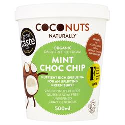 Mint Choc Chip Ice Cream 500ml