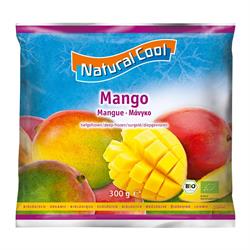 Biologische Mango 300g (bestel per stuk of 10 voor handel buiten)
