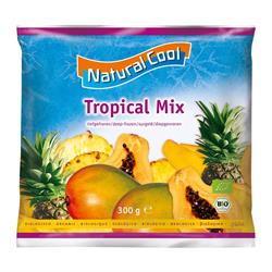 Biologische Tropical Mix 300g (bestel per stuk of 10 voor handel buiten)