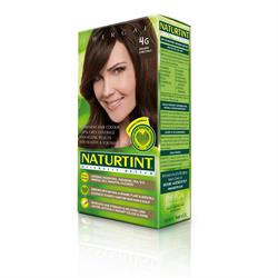 15% REDUCERE Colorant de păr permanent Intense Golden Chestnut 4G 165 ml (comandați pentru unică sau 48 pentru comerț exterior)