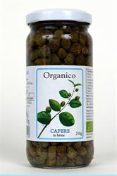 Capere organice în saramură 250g (comandați la unică sau 12 pentru comerț exterior)