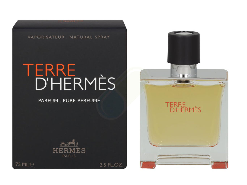 Hermes Terre D'Hermes Parfum Spray 75 ml