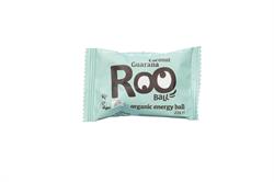 Coconut & Guarana Organic Raw Energy Ball (ordre 20 for detail ydre)