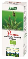Plantain מיץ צמחים טרי אורגני 200 מ"ל (להזמין ביחידים או 16 למסחר חיצוני)