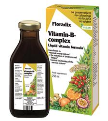 Floradix Vitamin B Complex 250ml (bestil i singler eller 16 for bytte ydre)