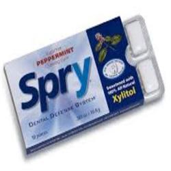 Peppermint Xylitol Gum - 10 pieces (order in singles or 20 for trade outer)