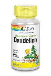 Organically Grown Dandelion Root (order in singles or 12 for retail outer)