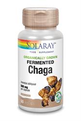 Organically Grown Fermented Chaga (order in singles or 12 for retail outer)