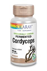 Cordyceps fermentados cultivados orgánicamente (pedir por unidades o 12 para el exterior minorista)