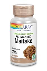 Maitake מותסס בגידול אורגני (להזמין ביחידים או 12 עבור קמעונאות חיצונית)