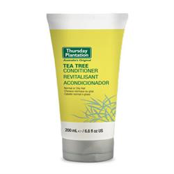 Conditioner - Tea Tree 200ml (order in singles or 12 for trade outer)