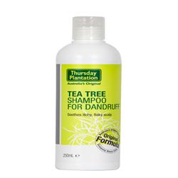 Tea Tree hver dag shampoo 200ml (bestil i singler eller 12 for bytte ydre)