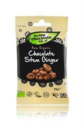 Organic Raw Chocolate Ginger 28g (order 12 for trade outer)