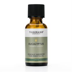 Aceite esencial de eucalipto cosechado éticamente Tisserand (30 ml)