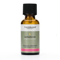 Geranium Ethically Harvested Essential Oil (30ml)