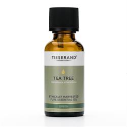 Óleo essencial de tea tree colhido eticamente (30ml)
